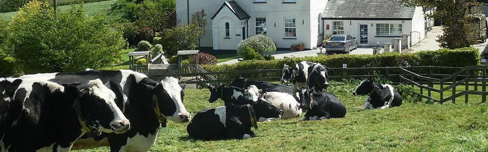 Wheatley Farm Bed & Breakfast Launceston Exterior photo